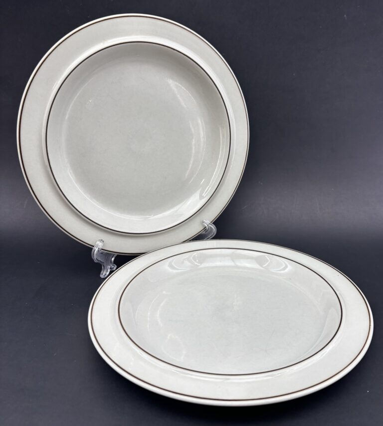 Read more about the article ARABIA FINLAND FENNICA Pair Of 10” MCM Stoneware Dinner Plates Vintage Beige