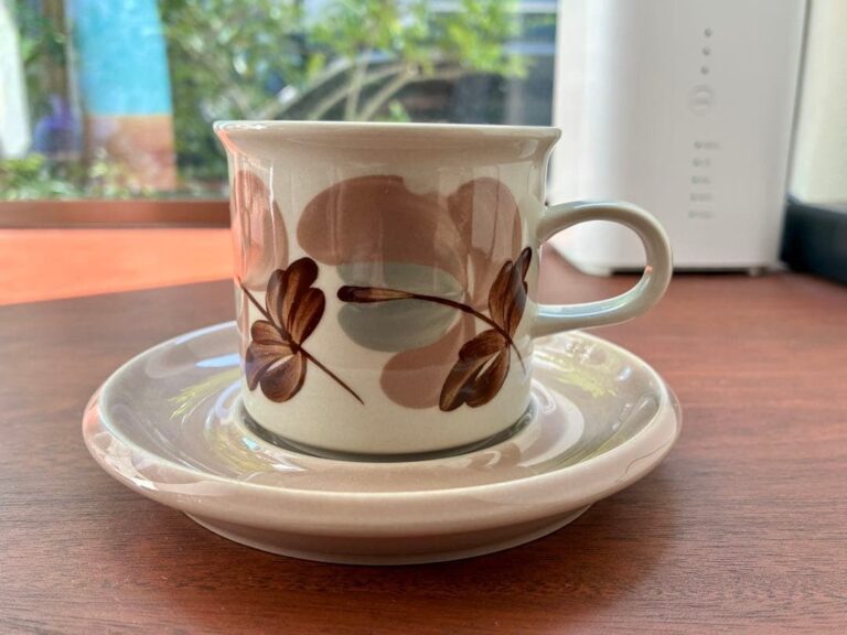 Read more about the article Arabia Koralli coffee cup and saucer