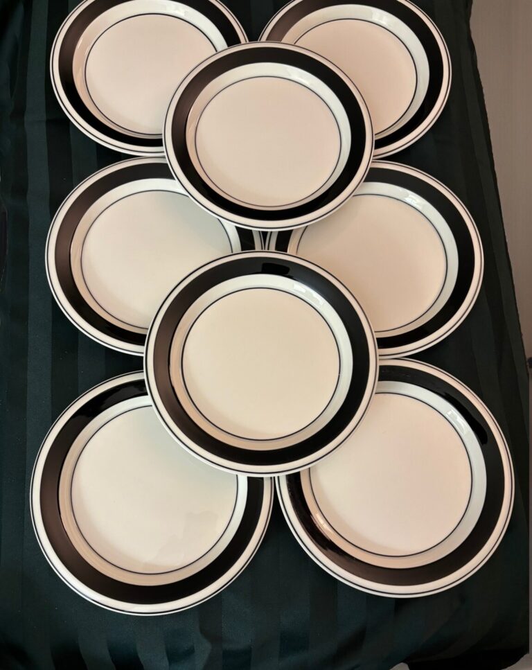 Read more about the article Buy Up to 6 Arabia Finland Faenza Black Stripe 7.75” Plates  Near Mint