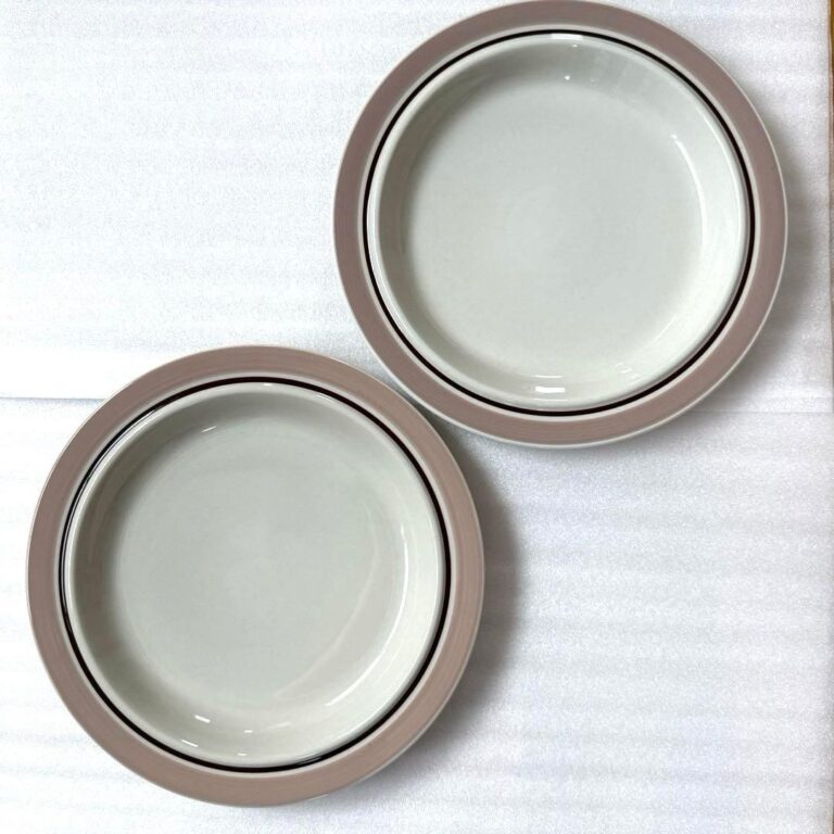 Read more about the article 2 ARABIA Koralli dinner plates /Only USA DDP shipping