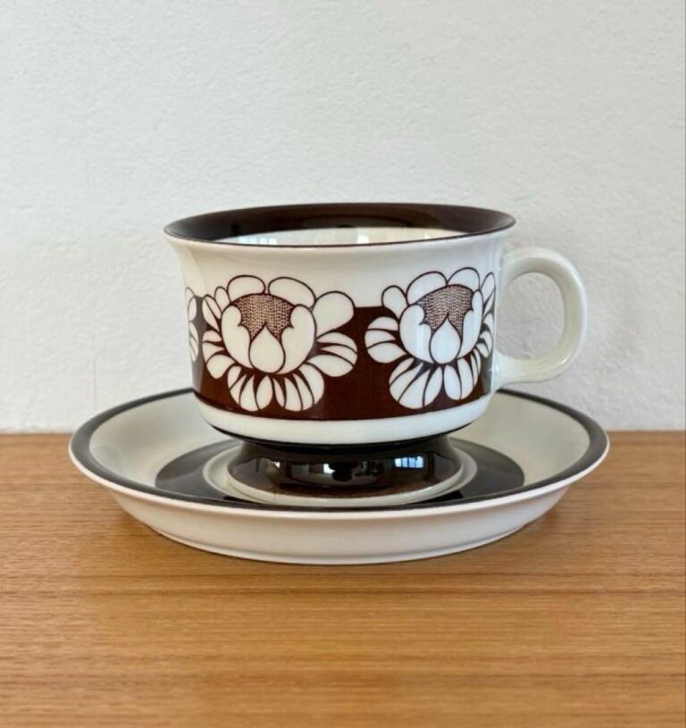 Read more about the article ARABIA Katrilli Coffee CS