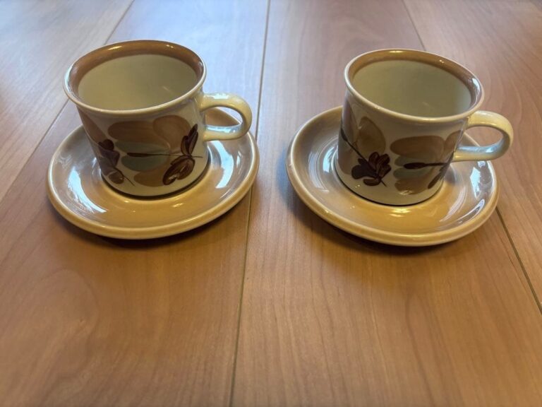 Read more about the article Arabia Koralli Coffee Cup Saucer Pair Set Raija Uosikkinen