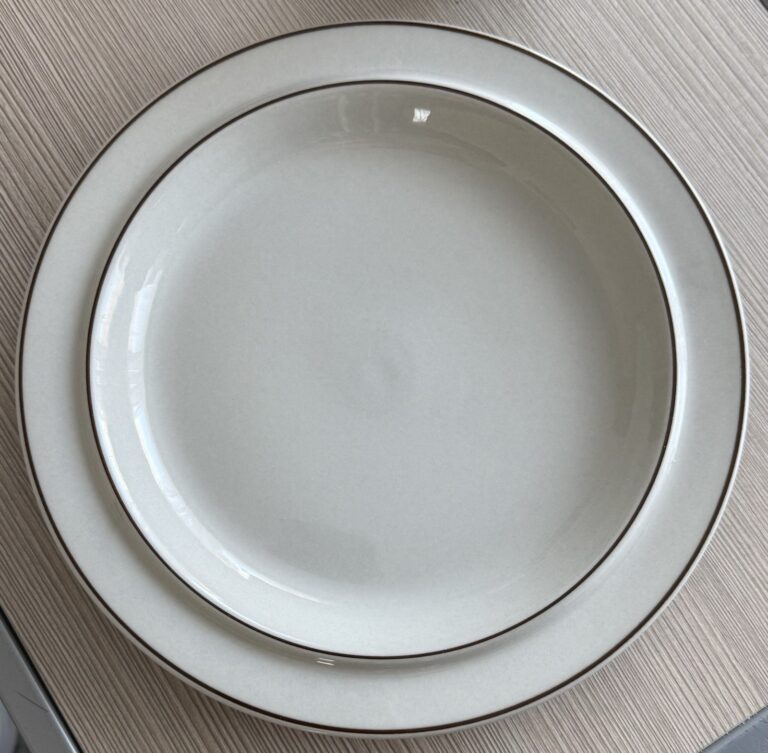 Read more about the article ARABIA FINLAND FENNICA 10″ STONEWARE LARGE DINNER PLATE Excellent Condition